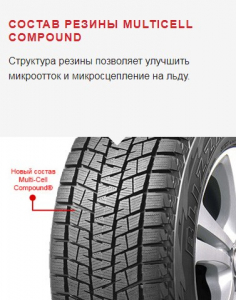 Bridgestone Blizzak DM-V1